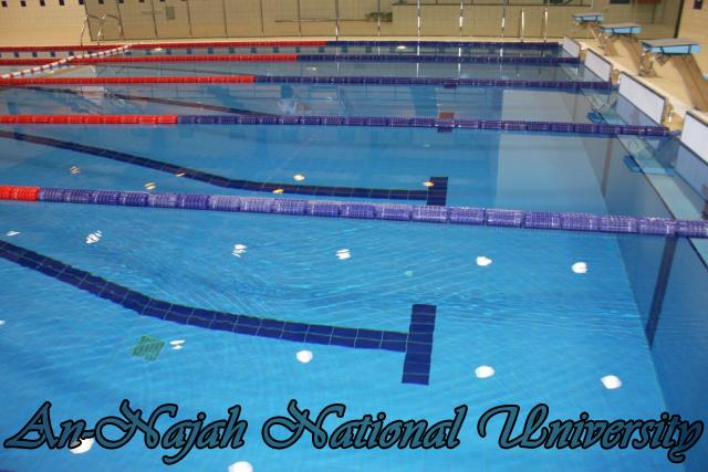 قاعة السباحة في كلية التربية الرياضية