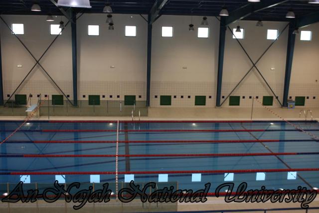 قاعة السباحة في كلية التربية الرياضية