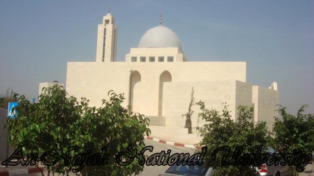 المسجد - المركز الاسلامي