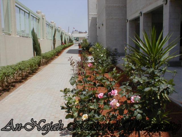 كلية هشام حجاوي التكنلوجية